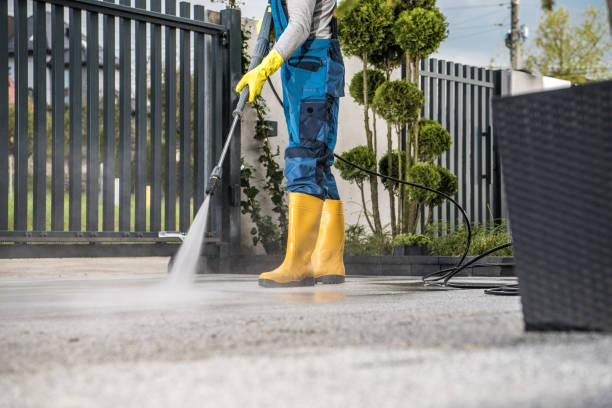 Best Concrete Pressure Washing  in Kahuku, HI